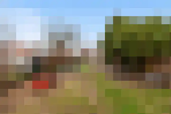 Parallelweg 61 Hardinxveld-Giessendam thumbnail 36