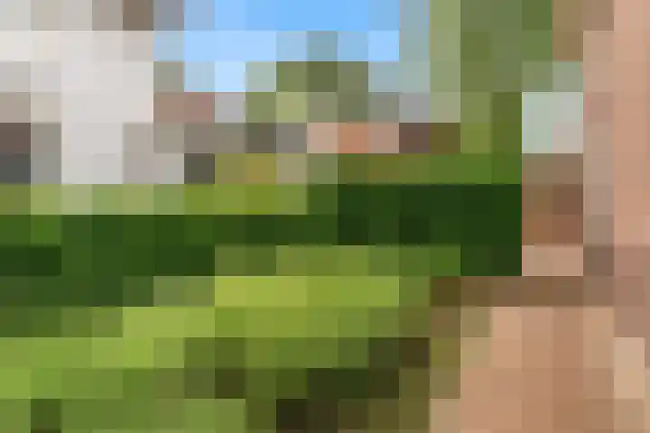 Parallelweg 62 Oosterbeek thumbnail 38