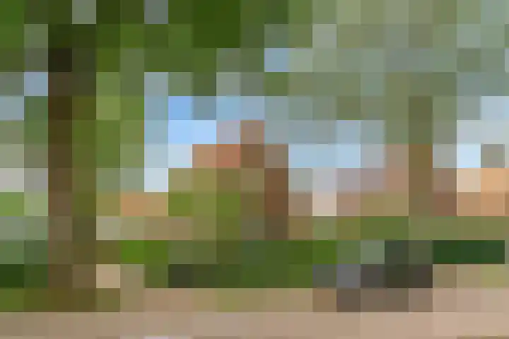 Parallelweg 62 Oosterbeek thumbnail 45