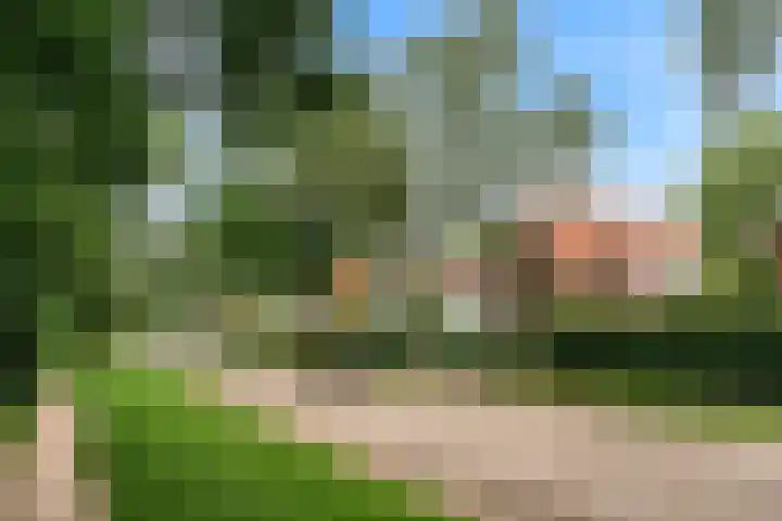 Parallelweg 62 Oosterbeek thumbnail 46