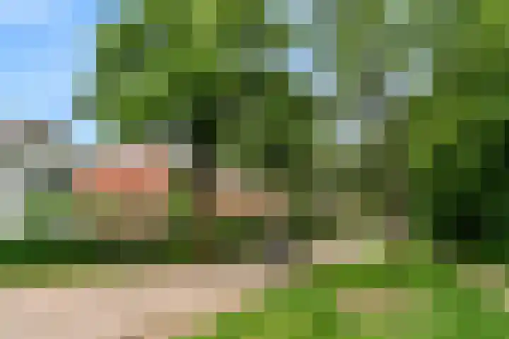 Parallelweg 62 Oosterbeek thumbnail 48