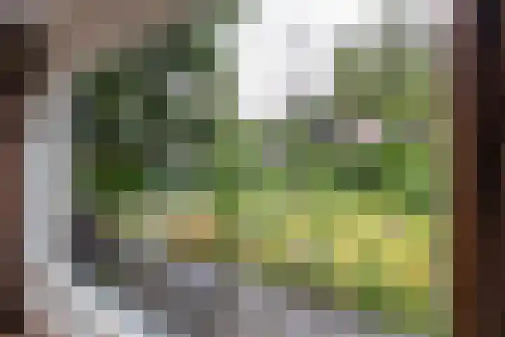Parallelweg 63 Glimmen thumbnail 17