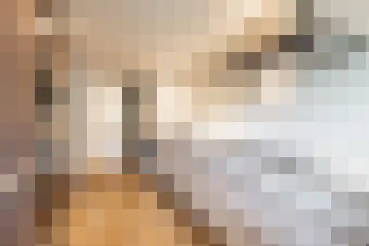 Parallelweg 63 Glimmen thumbnail 20