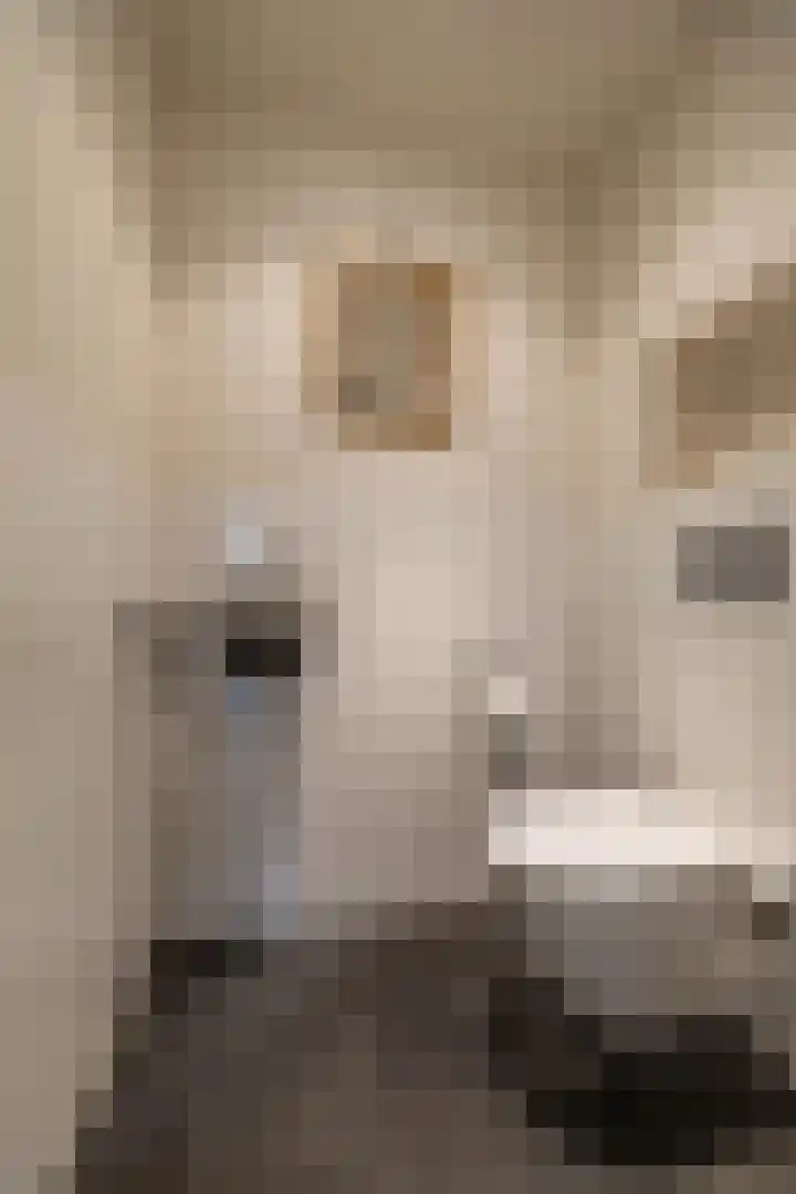 Parallelweg 63 Glimmen thumbnail 32