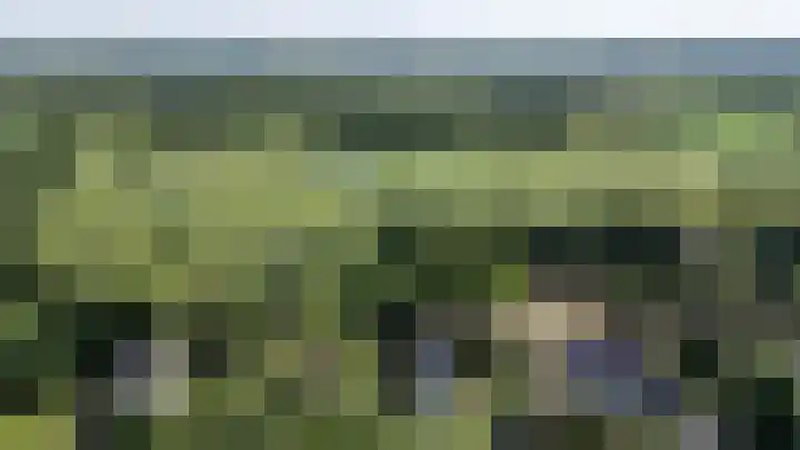 Parallelweg 63 Glimmen thumbnail 4