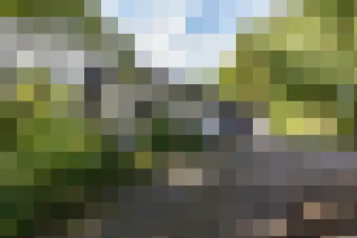 Parallelweg 63 Glimmen thumbnail 42