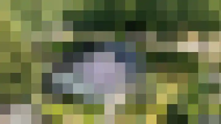 Parallelweg 63 Glimmen thumbnail 43
