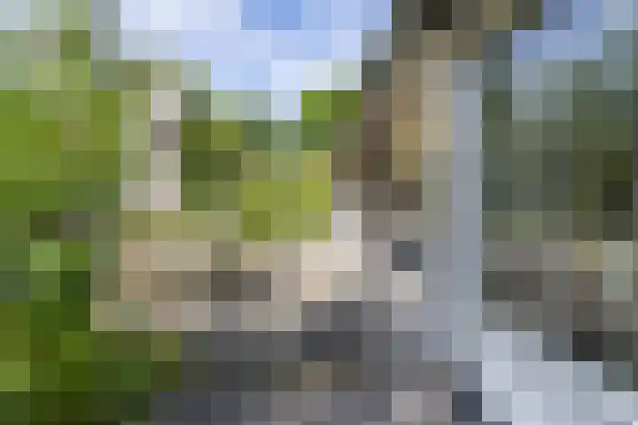 Parallelweg 63 Glimmen thumbnail 5