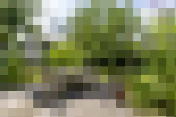 Parallelweg 63 Glimmen thumbnail 6