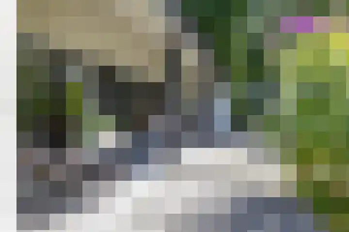 Parallelweg 63 Glimmen thumbnail 7