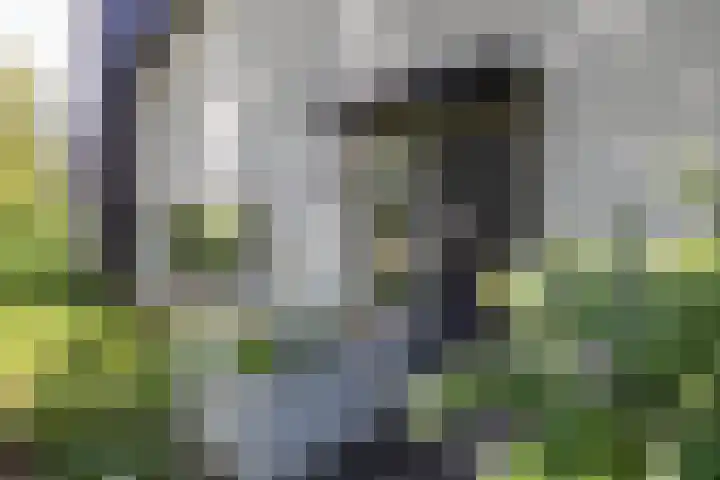 Parallelweg 63 Glimmen thumbnail 8
