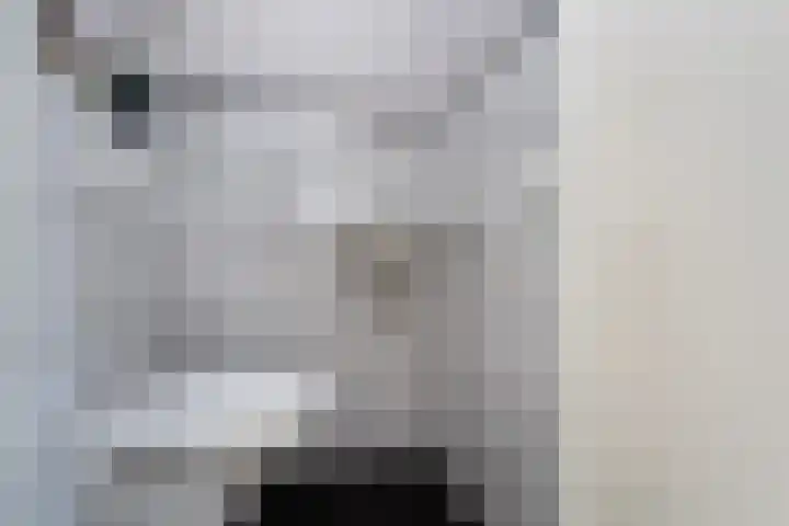 Parallelweg 64 Rotterdam thumbnail 17