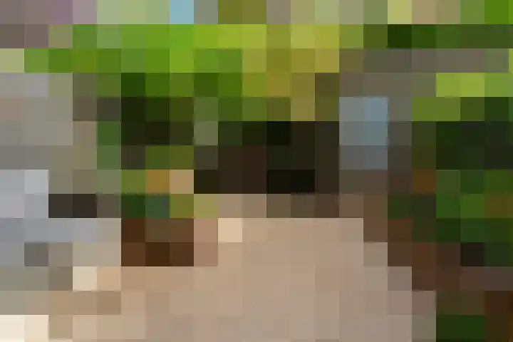 Parallelweg 64 Rotterdam thumbnail 19