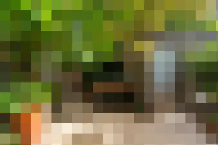 Parallelweg 64 Rotterdam thumbnail 20