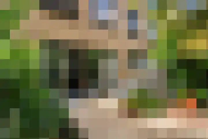 Parallelweg 64 Rotterdam thumbnail 21