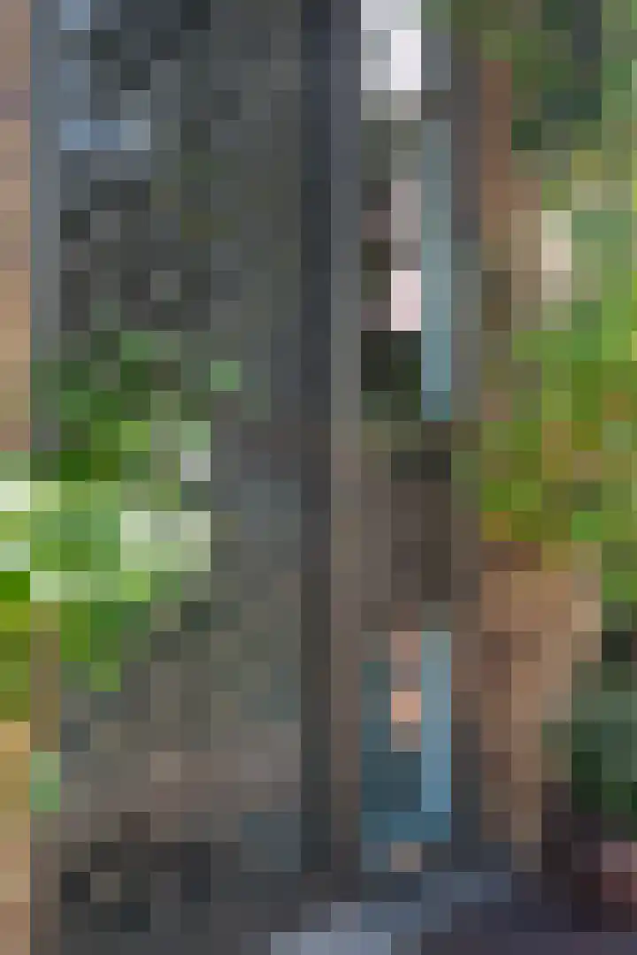 Parallelweg 64 Rotterdam thumbnail 23