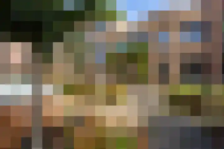 Parallelweg 64 Rotterdam thumbnail 24