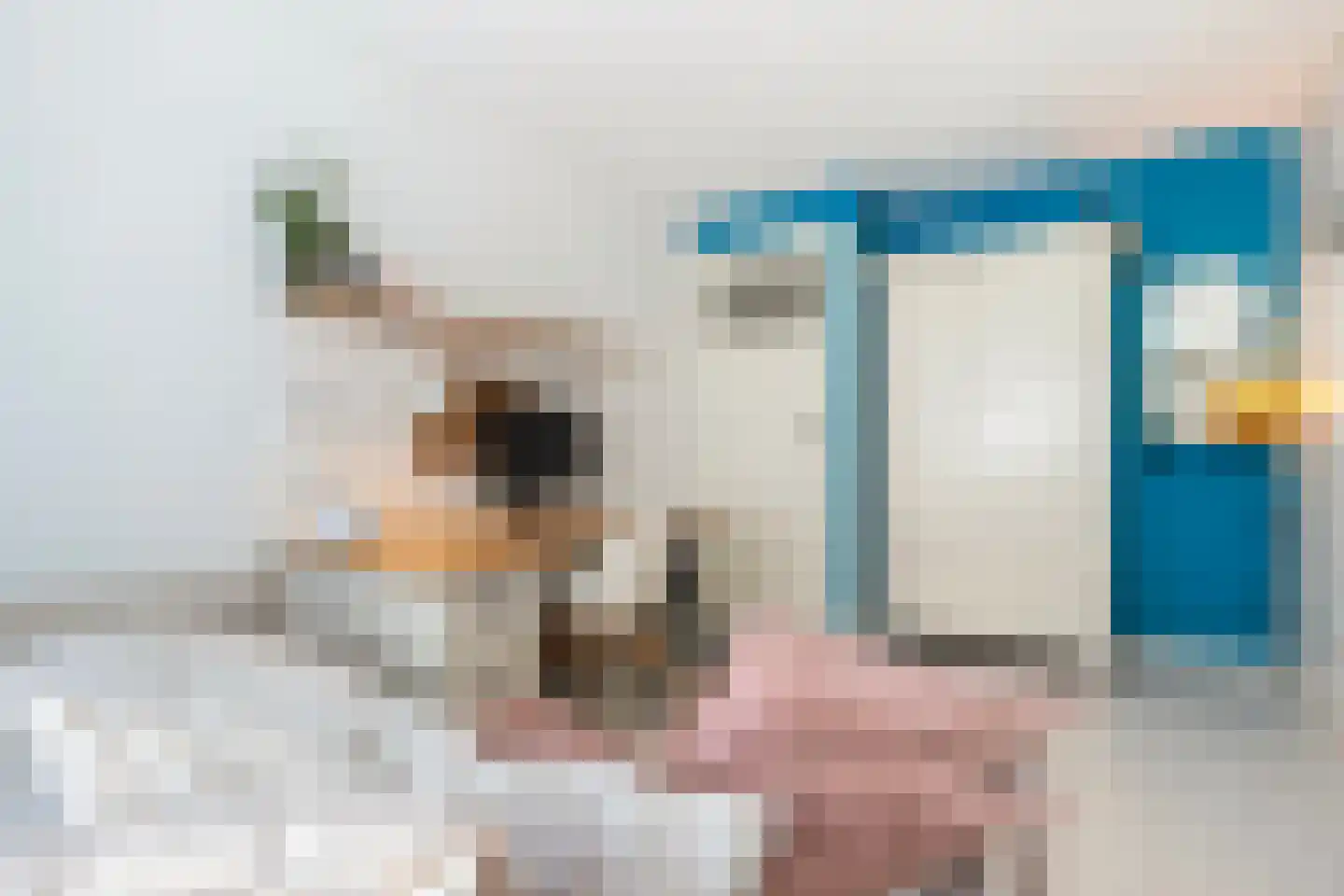 Parallelweg 66 Wolfheze thumbnail 20