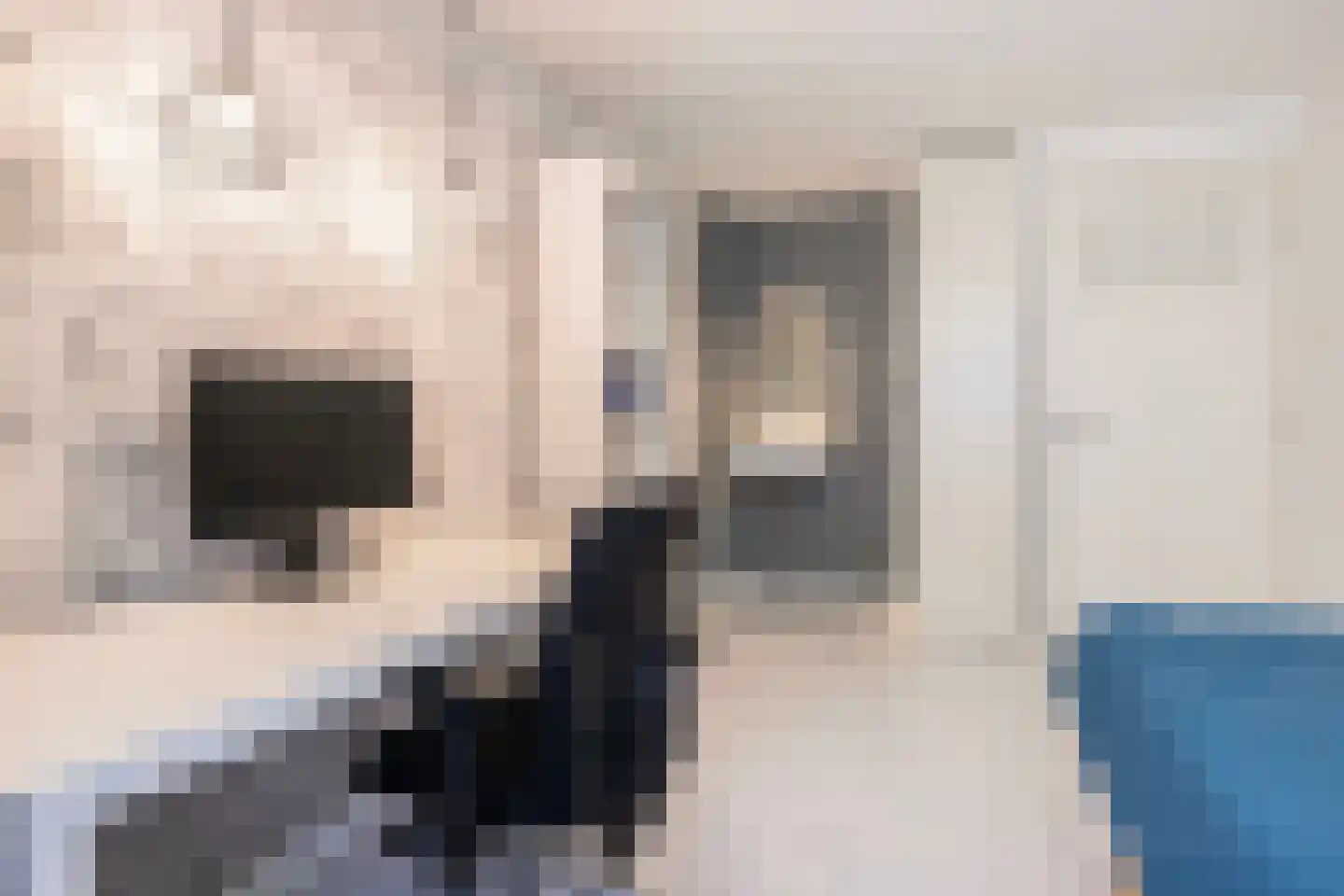 Parallelweg 66 Wolfheze thumbnail 22