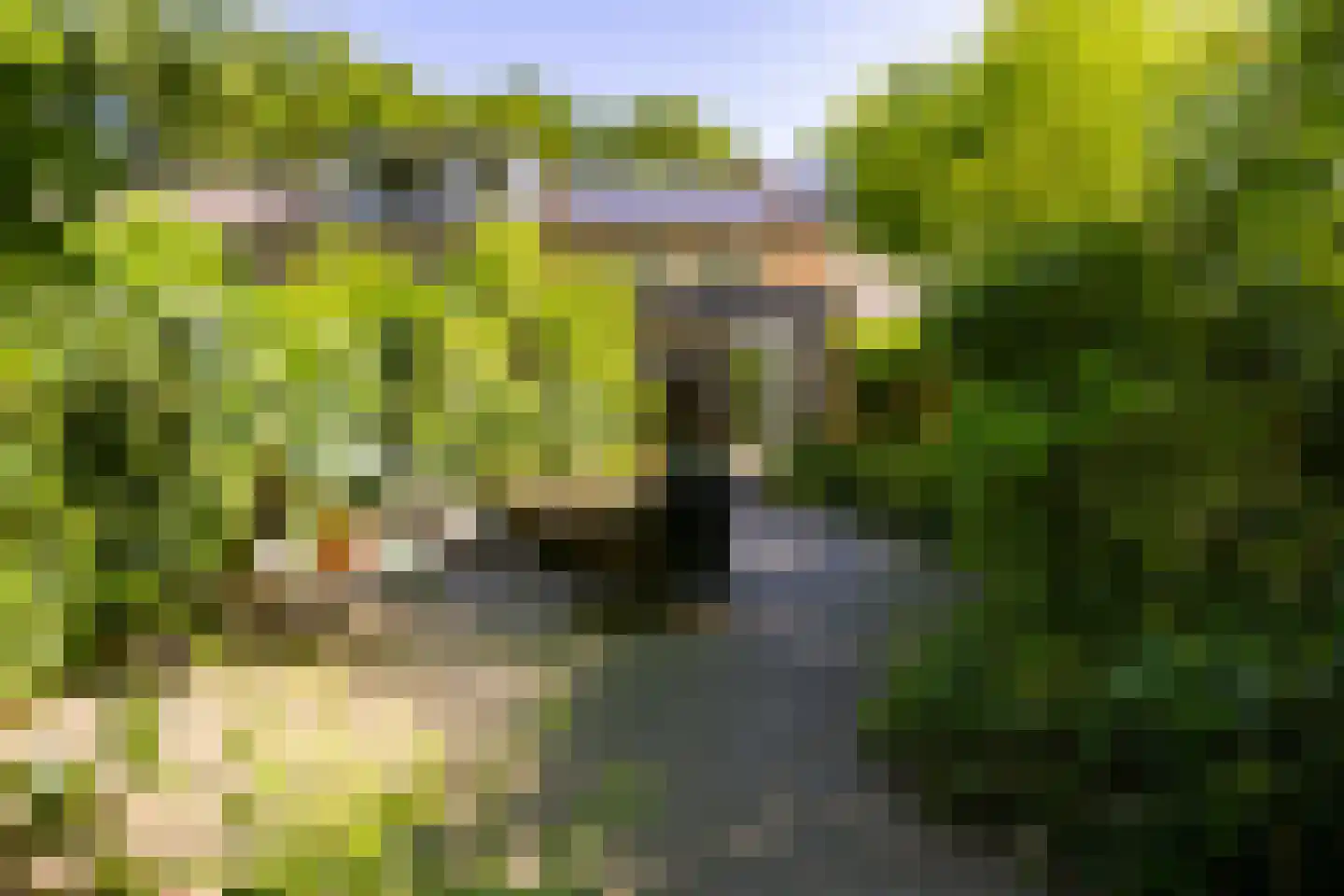 Parallelweg 66 Wolfheze thumbnail 28