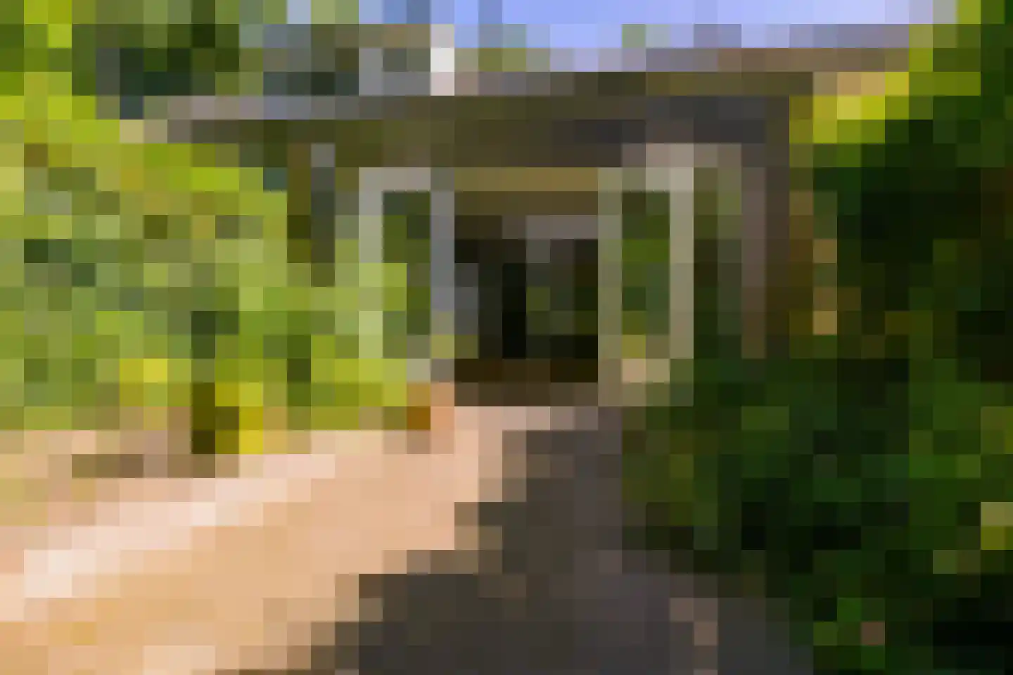 Parallelweg 66 Wolfheze thumbnail 29