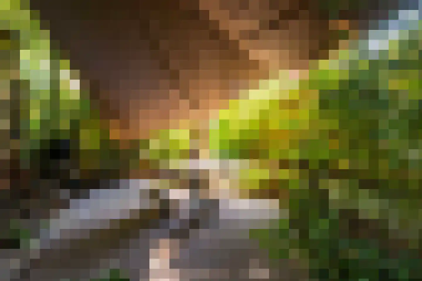 Parallelweg 66 Wolfheze thumbnail 30