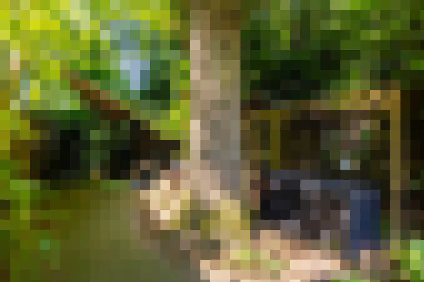 Parallelweg 66 Wolfheze thumbnail 31