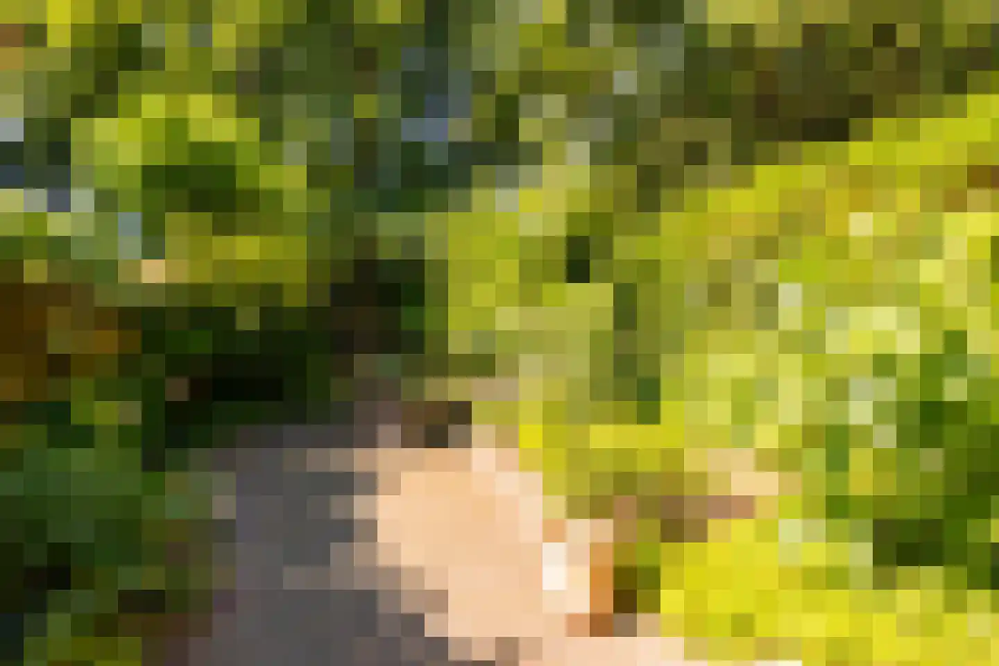Parallelweg 66 Wolfheze thumbnail 32
