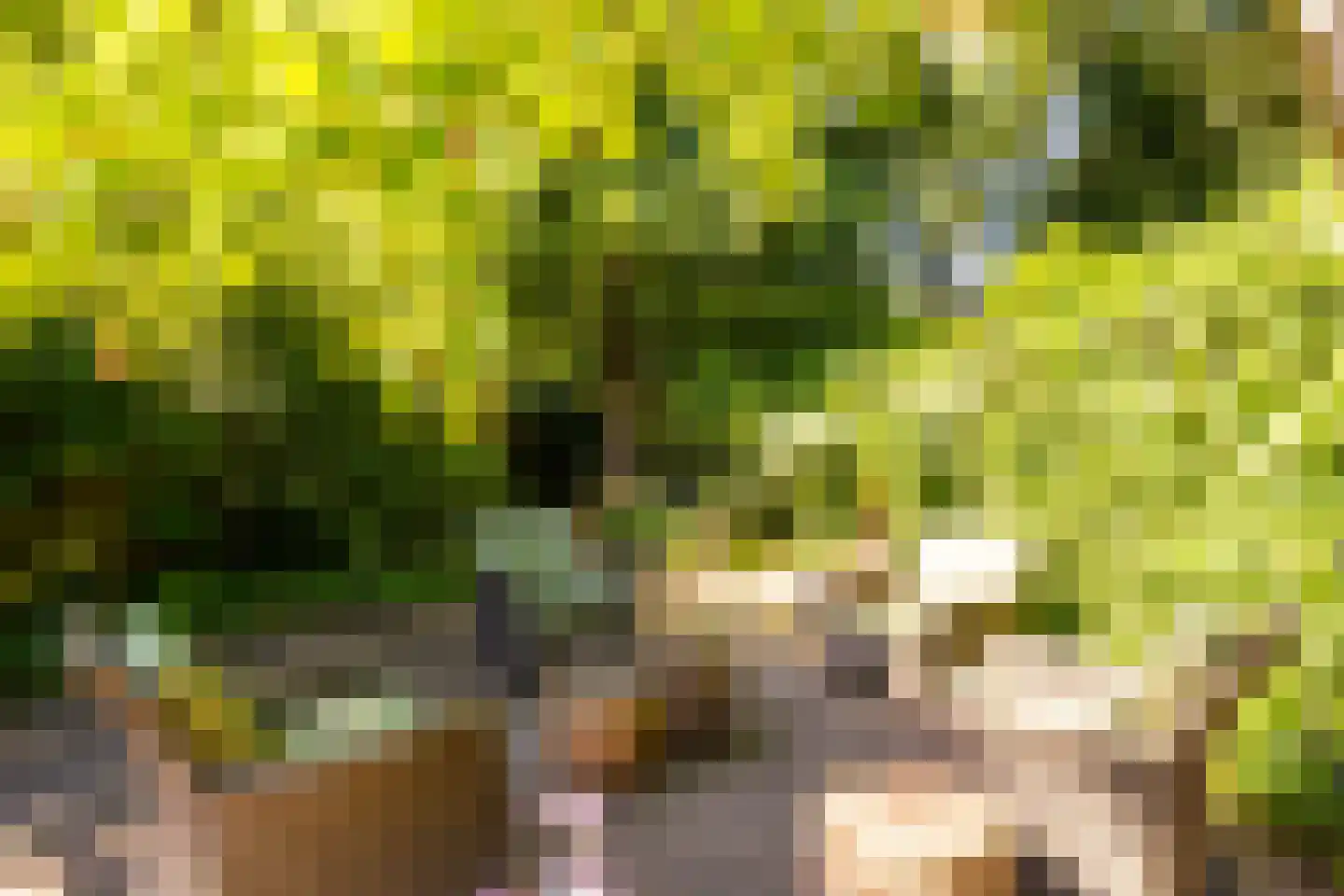 Parallelweg 66 Wolfheze thumbnail 33