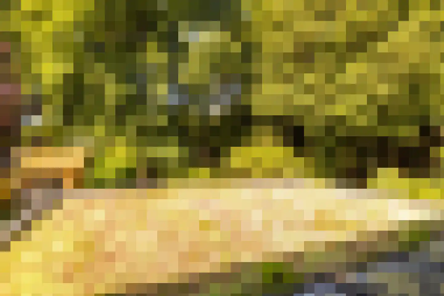 Parallelweg 66 Wolfheze thumbnail 34