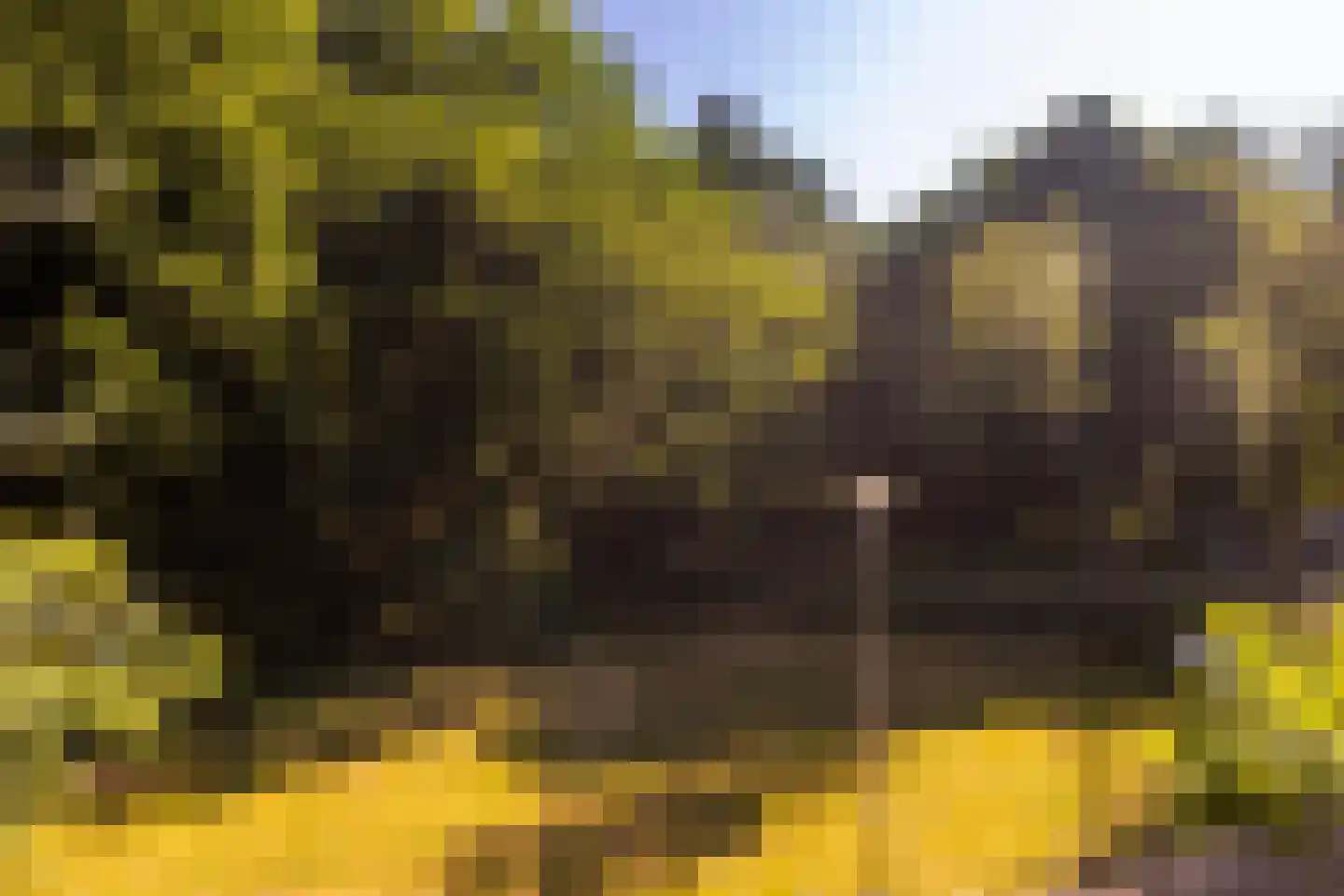 Parallelweg 66 Wolfheze thumbnail 35
