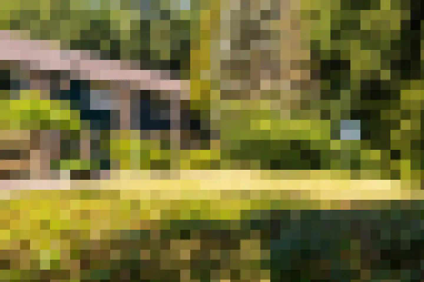 Parallelweg 66 Wolfheze thumbnail 36