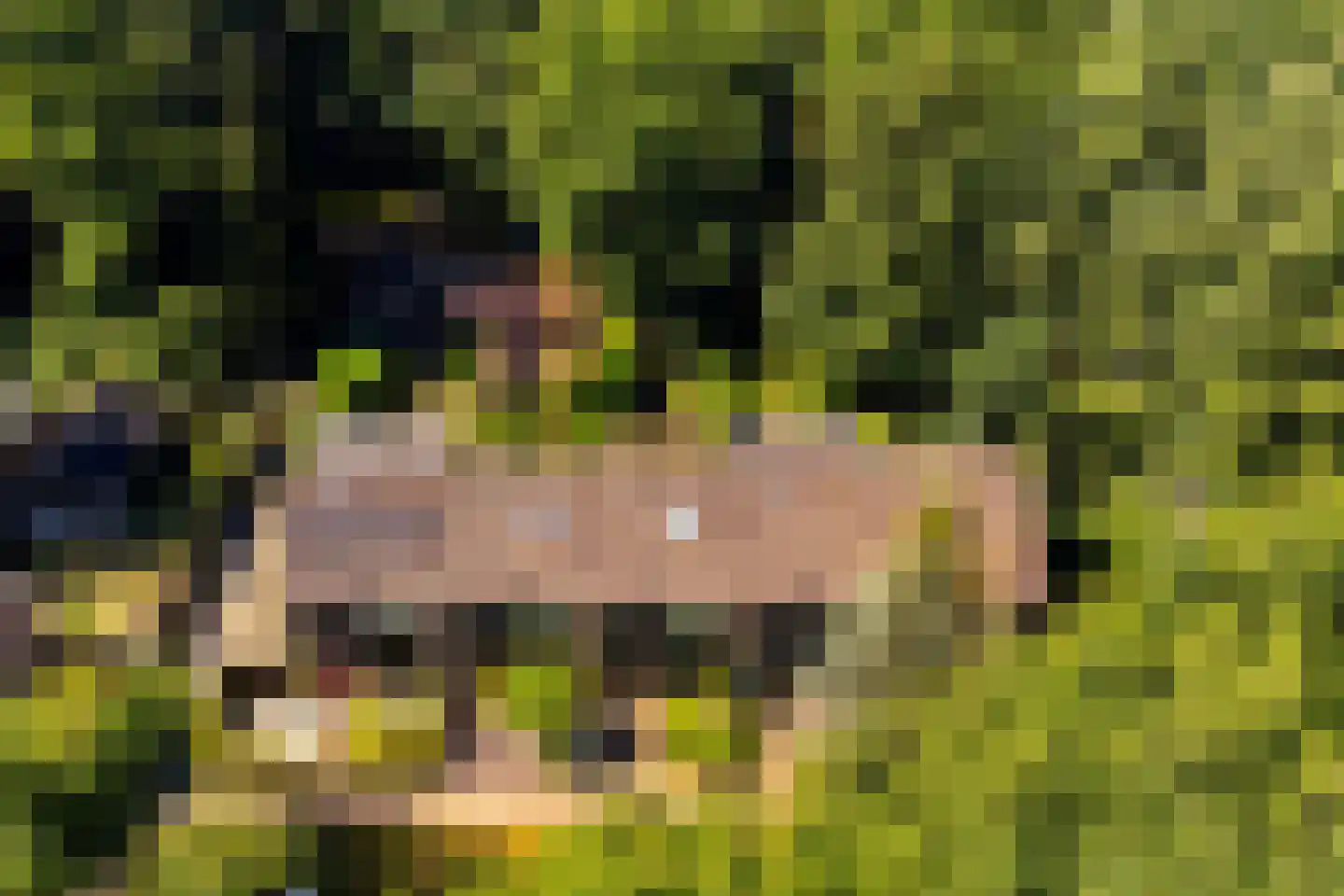Parallelweg 66 Wolfheze thumbnail 38