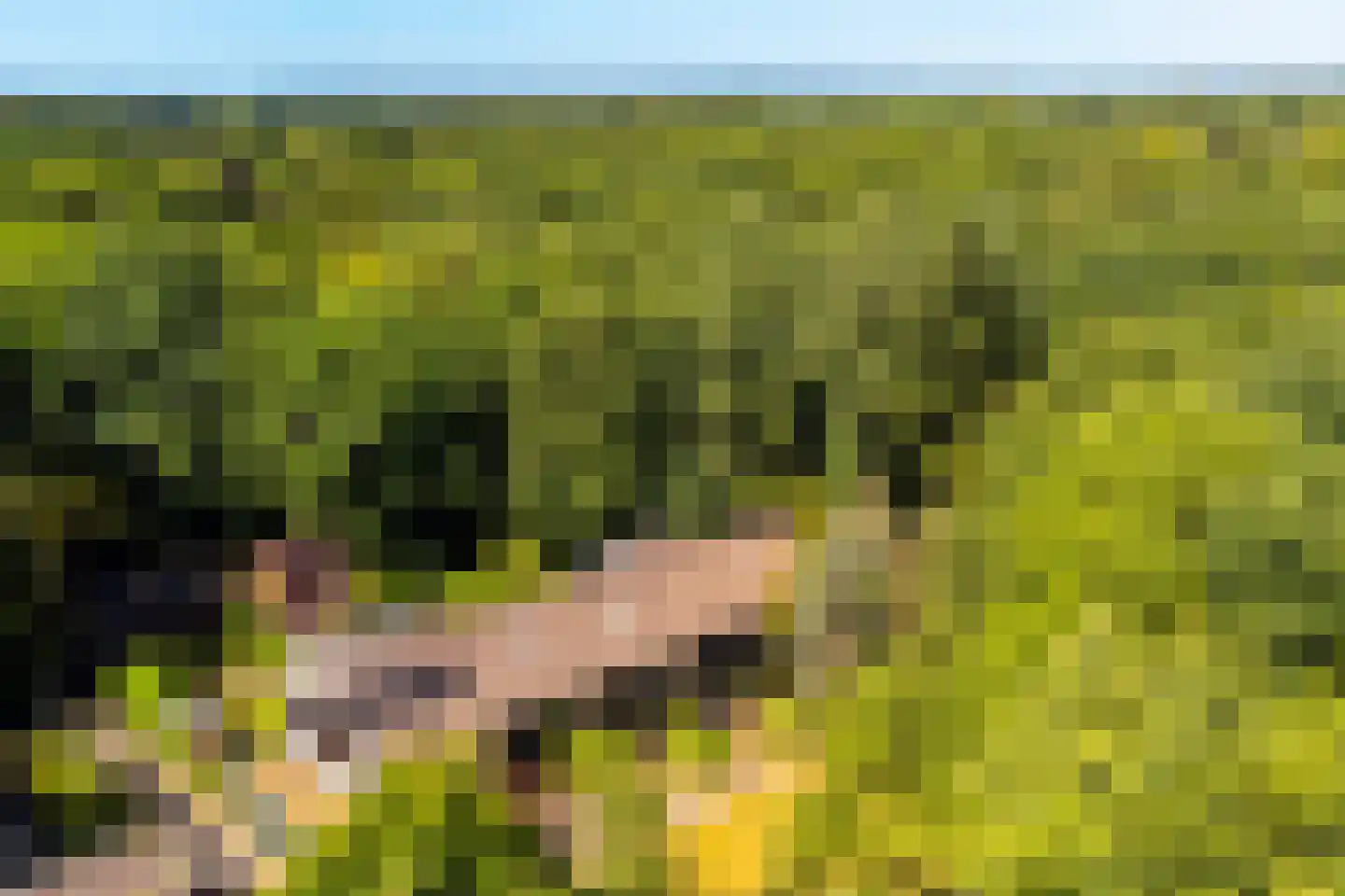 Parallelweg 66 Wolfheze thumbnail 39