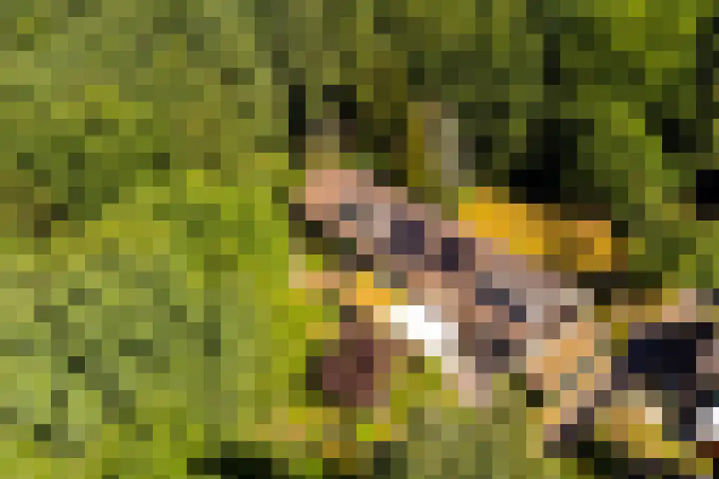 Parallelweg 66 Wolfheze thumbnail 40
