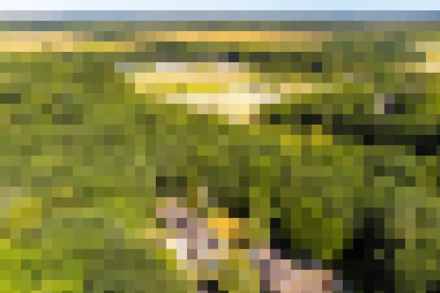 Parallelweg 66 Wolfheze thumbnail 41