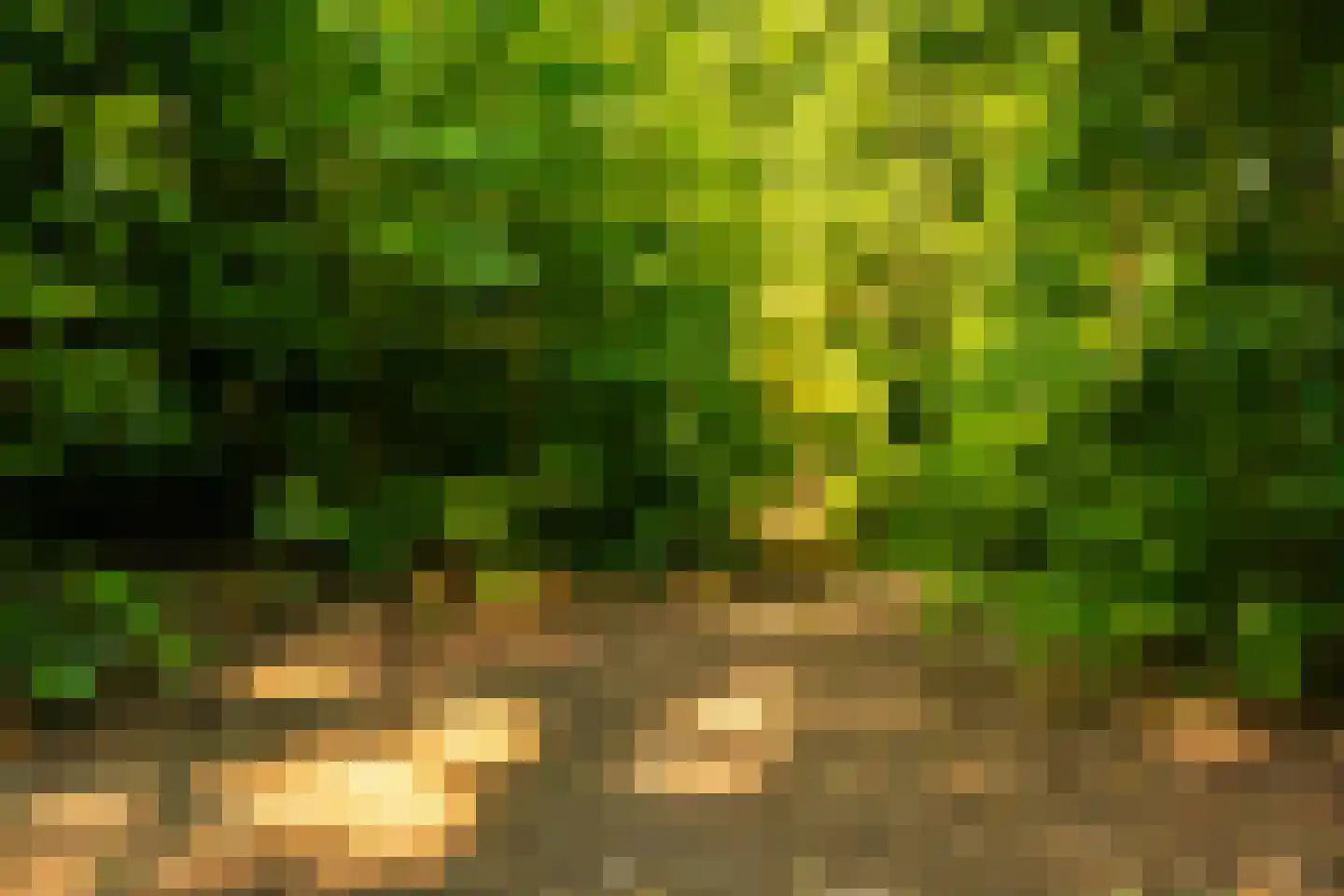 Parallelweg 66 Wolfheze thumbnail 42