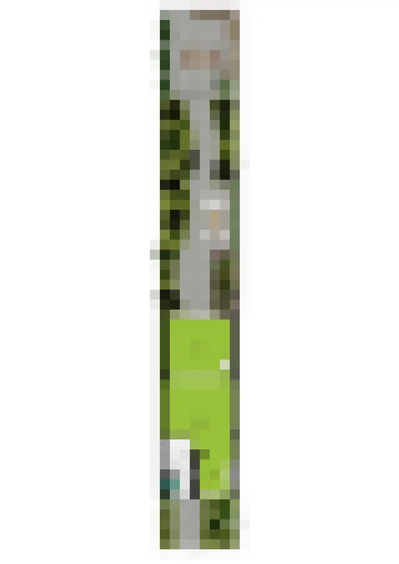 Parallelweg 66 Wolfheze thumbnail 47
