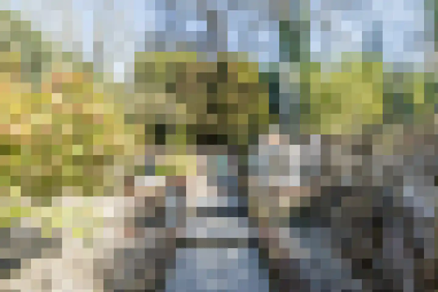 Parallelweg 69 Valkenburg (LI) thumbnail 33
