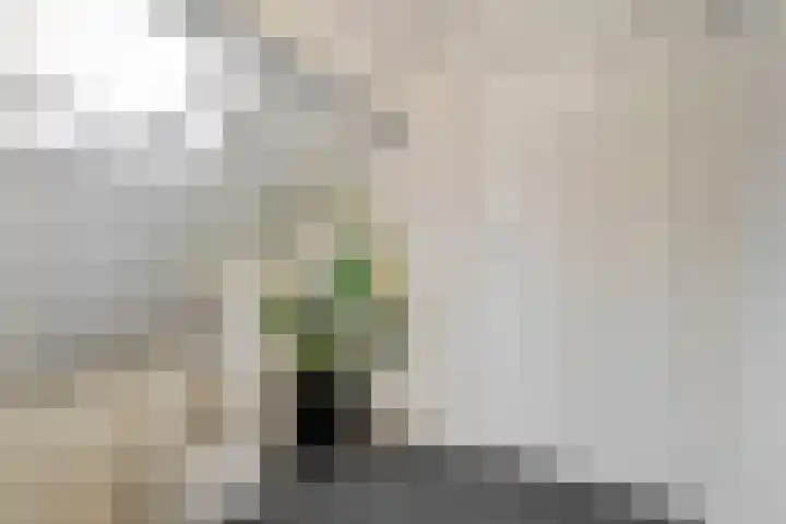 Parallelweg 7 Bergentheim thumbnail 24