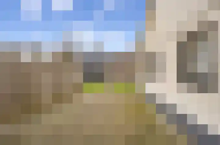 Parallelweg 7 Bergentheim thumbnail 31