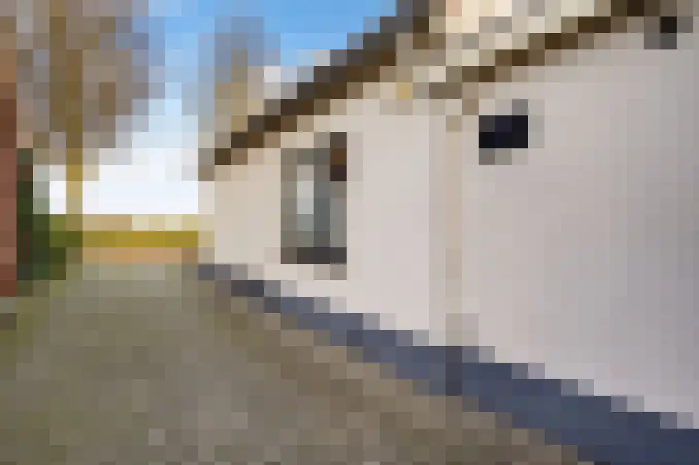 Parallelweg 7 Bergentheim thumbnail 36