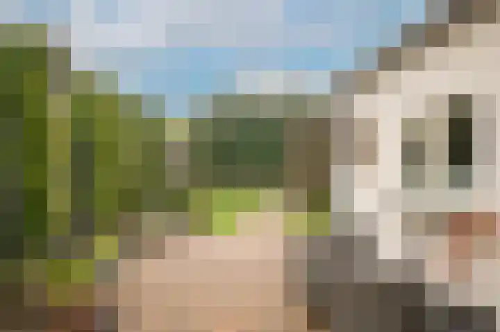 Parallelweg 7 Dodewaard thumbnail 28