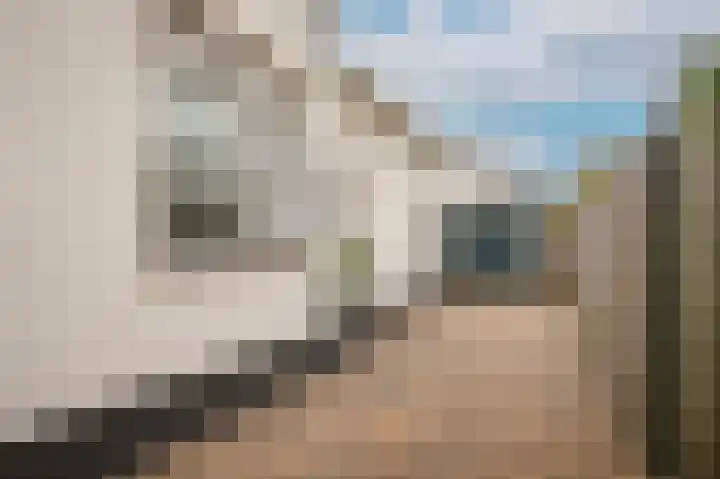 Parallelweg 7 Dodewaard thumbnail 36
