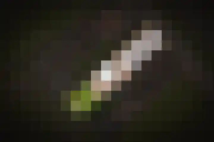 Parallelweg 7 Dodewaard thumbnail 40