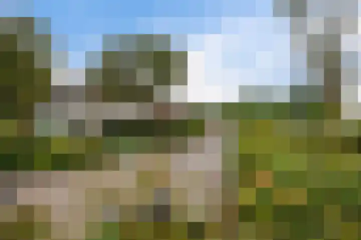 Parallelweg 7 Hillegom thumbnail 27