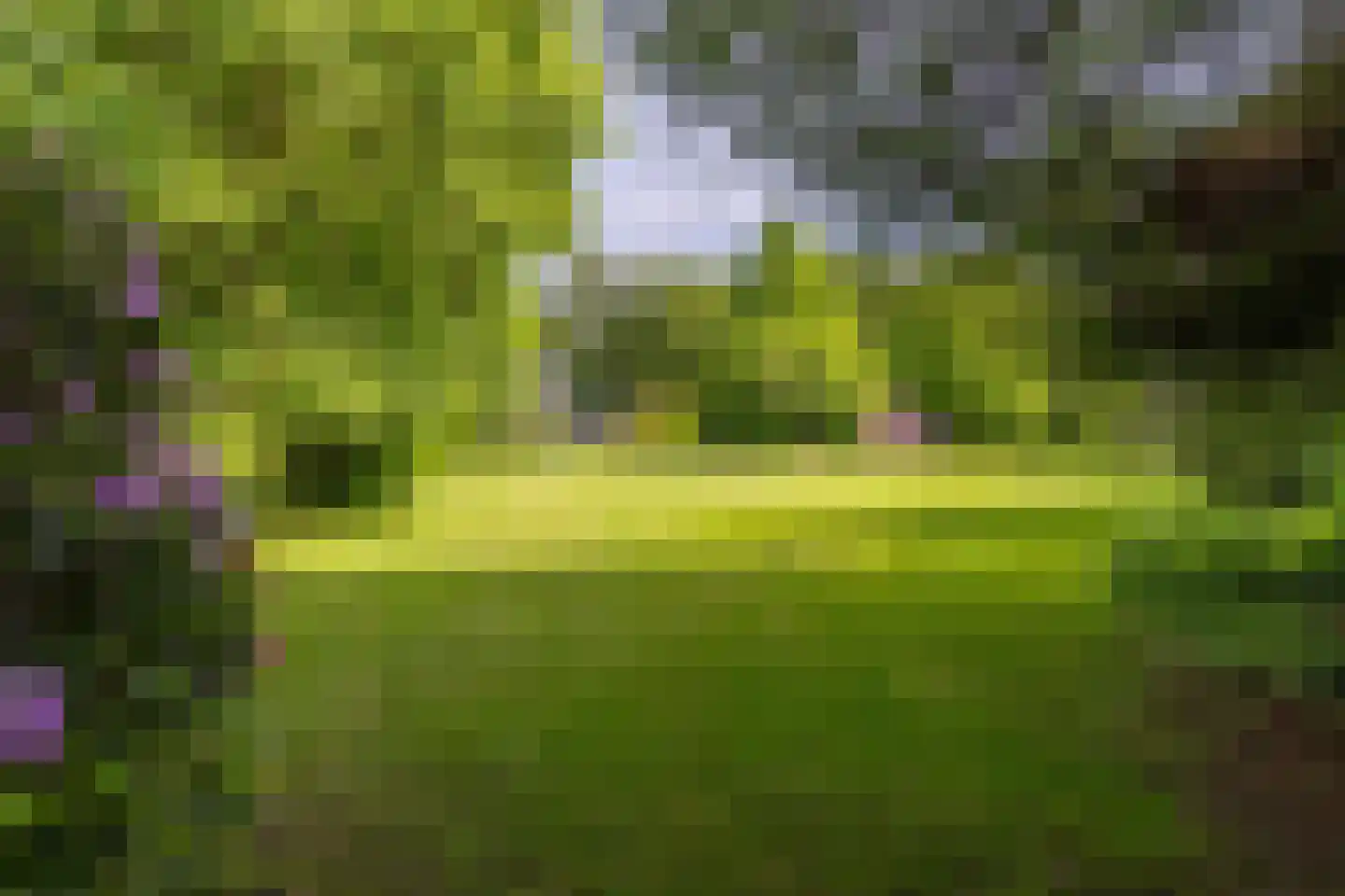 Parallelweg 71 Glimmen thumbnail 4