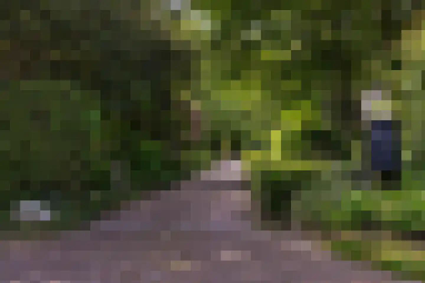 Parallelweg 71 Glimmen thumbnail 5