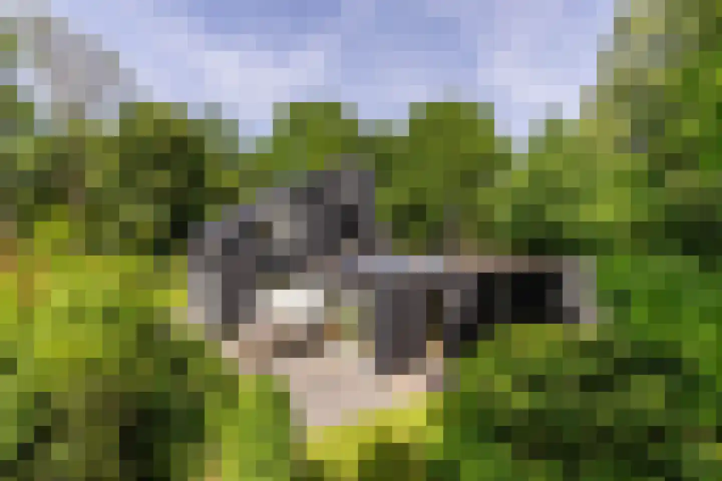 Parallelweg 71 Glimmen thumbnail 60
