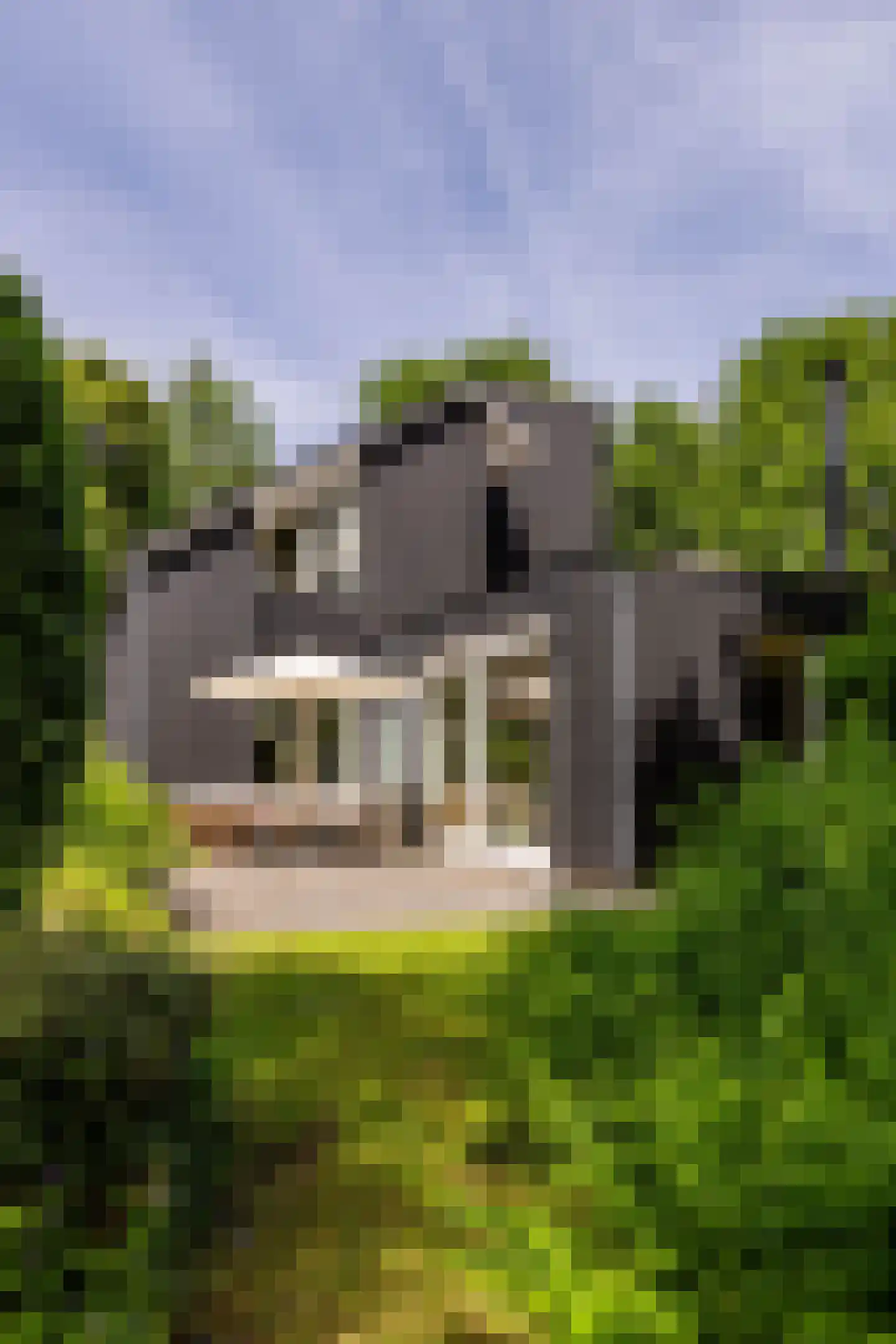 Parallelweg 71 Glimmen thumbnail 62